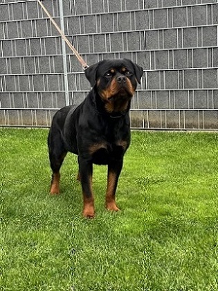 Emma 2,5 Jahre.jpg